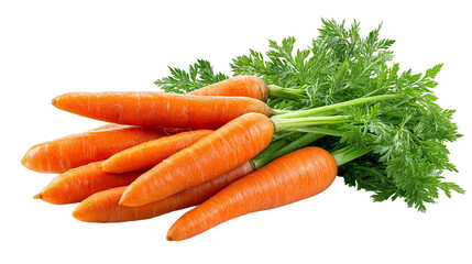 Fresh Raw Carrots with Green Tops Isolated