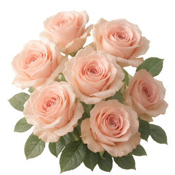 Ethereal Rose Bouquet: A captivating bouquet of soft, peach-toned roses unfolds, their delicate petals displaying the sublime beauty of floral arrangement , isolated on transparent or white background