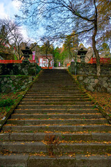 心落ち着く秋の神社風景と参道の彩り　山梨県