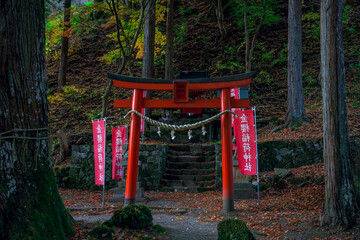  朱色の鳥居が映える静寂の金櫻稲荷神社の秋景色　山梨県
