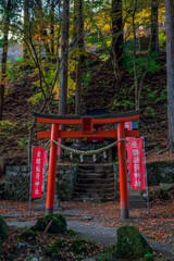 朱色の鳥居が映える静寂の金櫻稲荷神社の秋景色　山梨県
