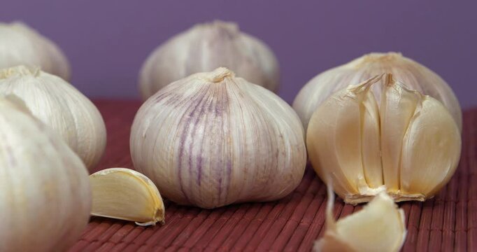 Garlic rotates on violet background. Garlic, Allium sativum, species of bulbous flowering plants in genus Allium. Garlic - very healthy product with many beneficial properties for health