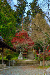  紅葉に染まる金櫻神社の石段参道が美しい秋景色　山梨県
