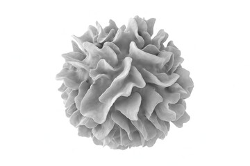 Dendritic immune cell under electron microscope