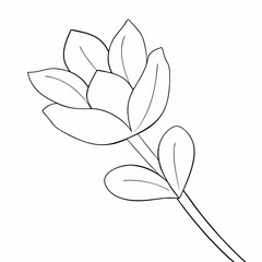 Orchid flower simple and minimal line art illustration on white background