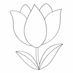 Tulip simple and minimal line art illustration on white background 