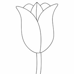 Tulip simple and minimal line art illustration on white background 