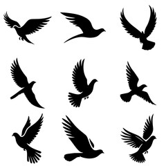 silhouette set of birds