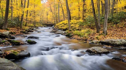 Symphony of Still Waters Through Autumn’s Golden Embrace







