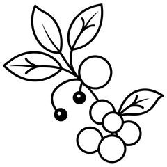 Mistletoe and berries line art vector illustration 