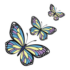 Set of butterflies isolated vector illustration on white background