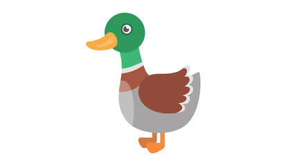 duck illustration