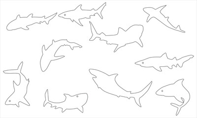 Shark line art, shark  silhouette outline vector