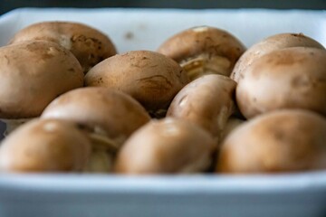 portobello mushrooms Agaricus Bisporus and fine details