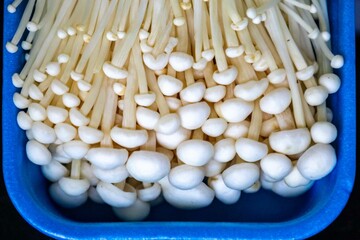 known as Enokitake, the Enoki mushroom Flammulina velutipes, is a variety widely used in oriental cuisine.
