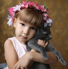 Adorable little girl with a floral crown lovingly hugging a gray kitten. Close-up indoor portrait with warm tones, childhood innocence and pet friendship theme