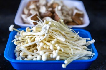 known as Enokitake, the Enoki mushroom Flammulina velutipes, is a variety widely used in oriental cuisine.