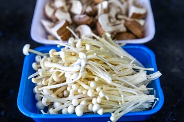 known as Enokitake, the Enoki mushroom Flammulina velutipes, is a variety widely used in oriental cuisine.