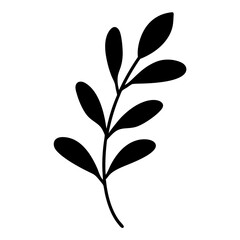 Black silhouette illustration of a simple elegant plant with rounded leaves