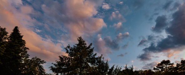 Fototapeta premium Leuchtendes Frühsommer Wetter an den Feldern der Alten Weinstraße oberer Rotenberg