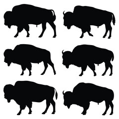 Black silhouette american bison or buffalo collection with white background for design
