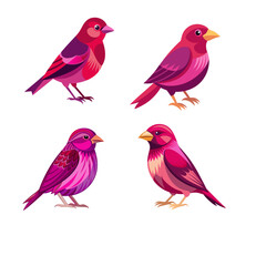 set of birds