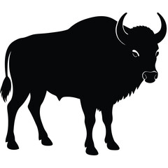 Bold black silhouette of a powerful american bison standing in a static pose