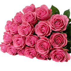 Fototapeta premium Pink Roses Bouquet