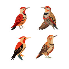 set of birds