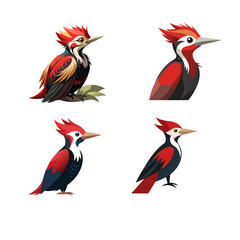 set of cartoon birds