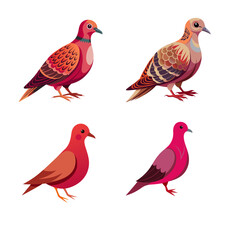 collection of birds