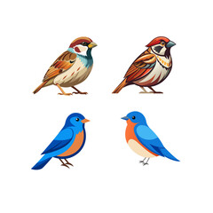 set of colorful birds