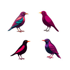set of birds