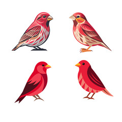 set of red cardinal