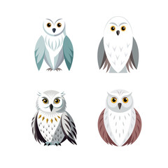 Fototapeta premium set of owl