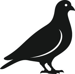 pigeon silhouette vector