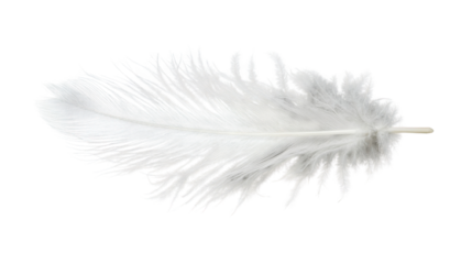 Single white feather floating on transparent background