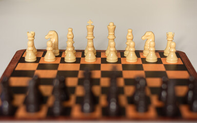 chess pieces on the board