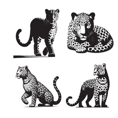 Stylized Leopard Vector Silhouette | Bold Jungle Predator Artwork on White Background