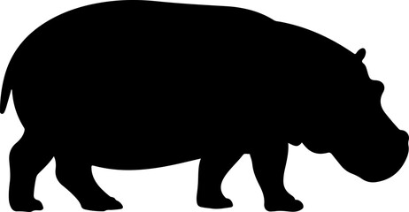 hippopotamus silhouette and line art vector illustration 