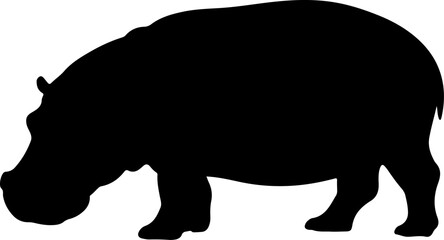 hippopotamus silhouette and line art vector illustration 