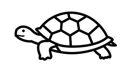 turtle isolated on white