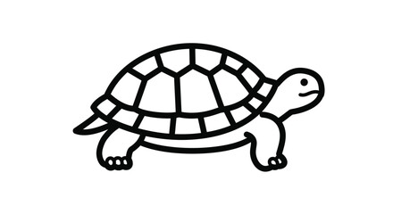 turtle vector illustration