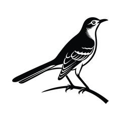 Northern Mockingbird Standing and Flying with Branch Illustration