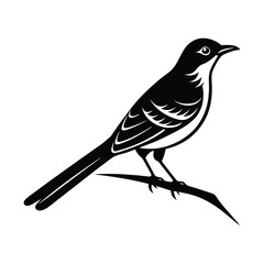 Northern Mockingbird Standing and Flying with Branch Illustration