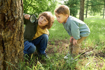 Full length portrait of two young brothers using magnifying glass and looking at bugs and insects...