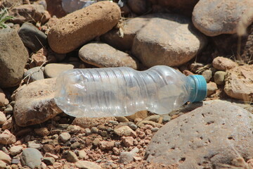 A plastic bottle lying on the ground, Plastic pollution, Plastic environmental impact
