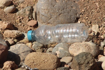 A plastic bottle lying on the ground, Plastic pollution, Plastic environmental impact