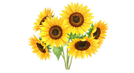 Fototapeta premium Sunflower Bouquet Illustration on White Background
