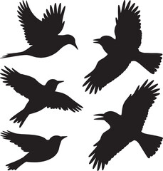 Obraz premium Five silhouettes of birds in flight soaring free